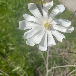 Meet your Posher, Posh